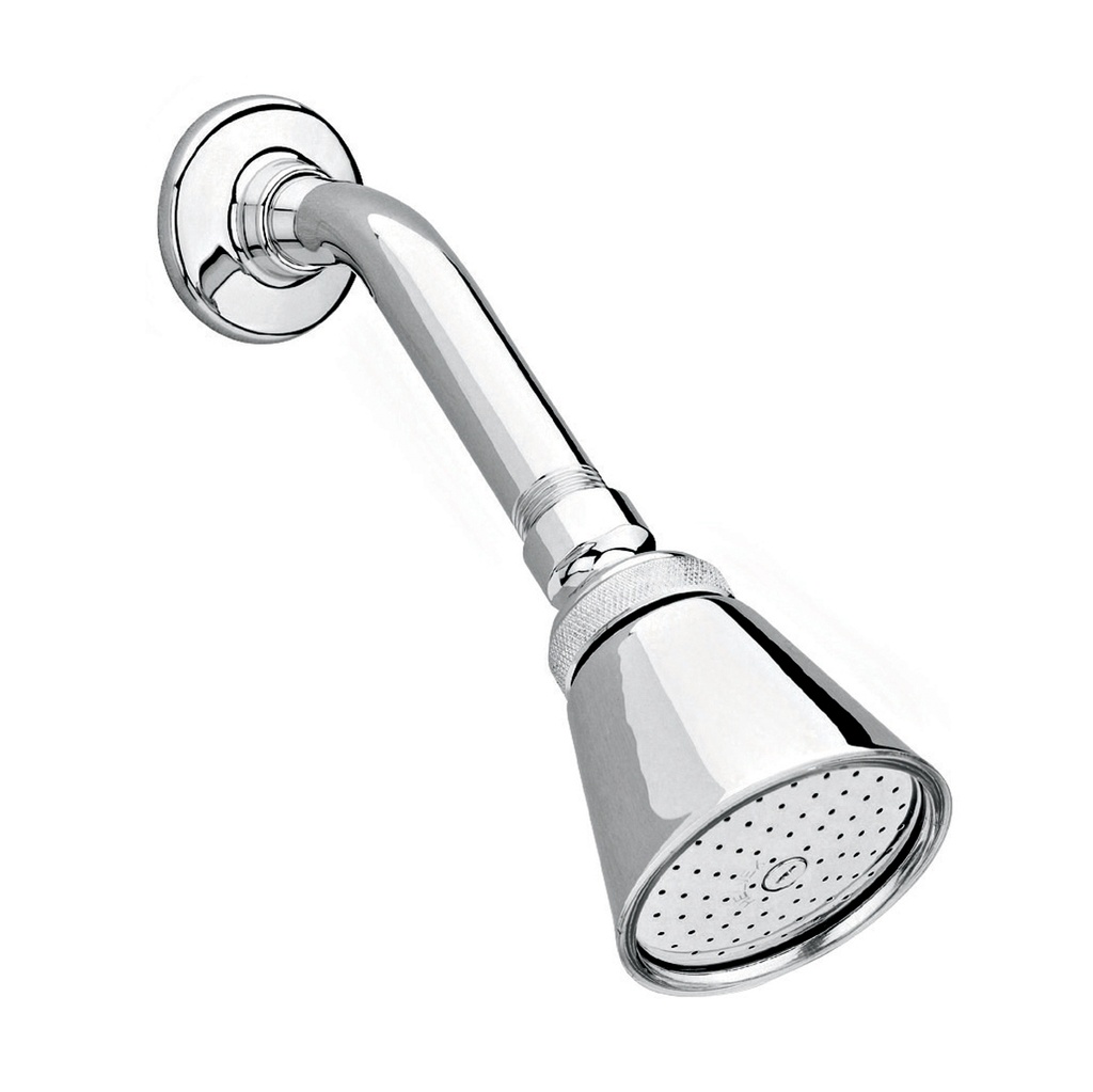 HELVEX H200 REGADERA OPTIMA CON BRAZO CHORRO FIJO